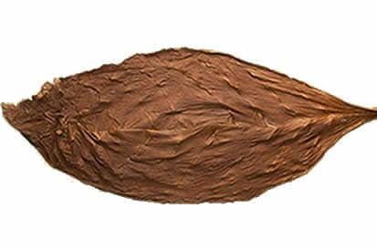 Fronto Leaf
