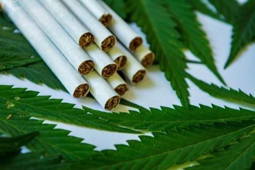 Hemp Cigarettes