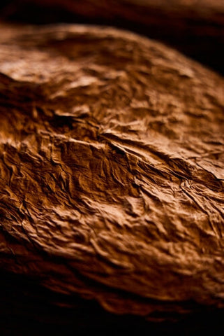 Why is Fronto Leaf Considered to Be the Gold Standard for Rolling Blunts with Whole Leaf Tobacco?