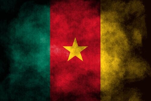 Cameroon Cigar Wrappers
