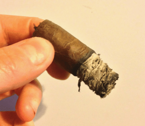hand holding a short cigar