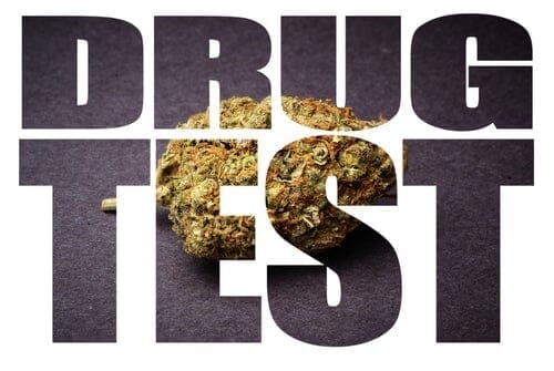 "Drug Test" text with a Hemp Flower shown
