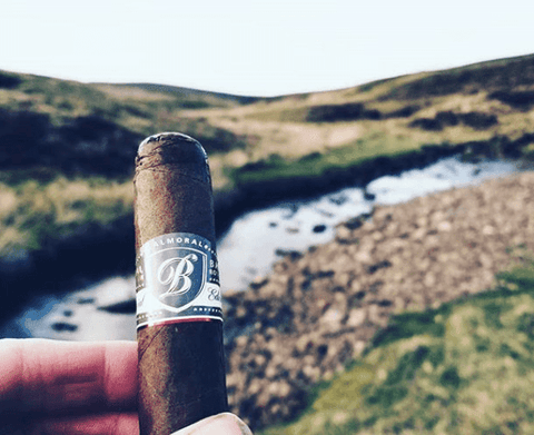 hand holding a cigar in front of a landscape