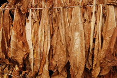 What is Virginia Tobacco?