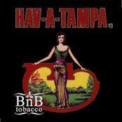 Hav a Tampa