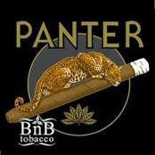 Panter