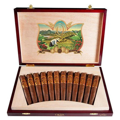 Oliva Serie V 135th Edicion - bnb-tobacco