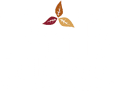 BnB Tobacco